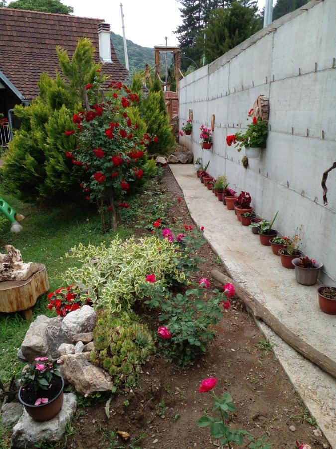 Skriveni Raj Vrdnik Exterior foto